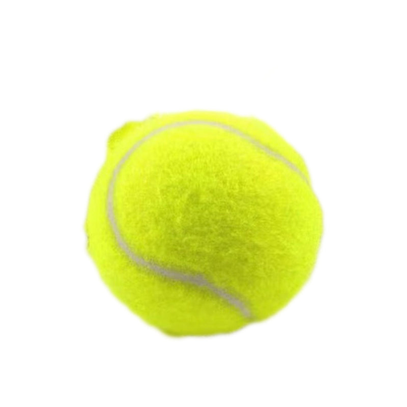 Rubber Dog Fetch Ball for Visible, Active Outdoor Play