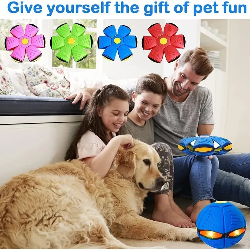 Light-Up Interactive Dog Toy: Ball & Flying Saucer