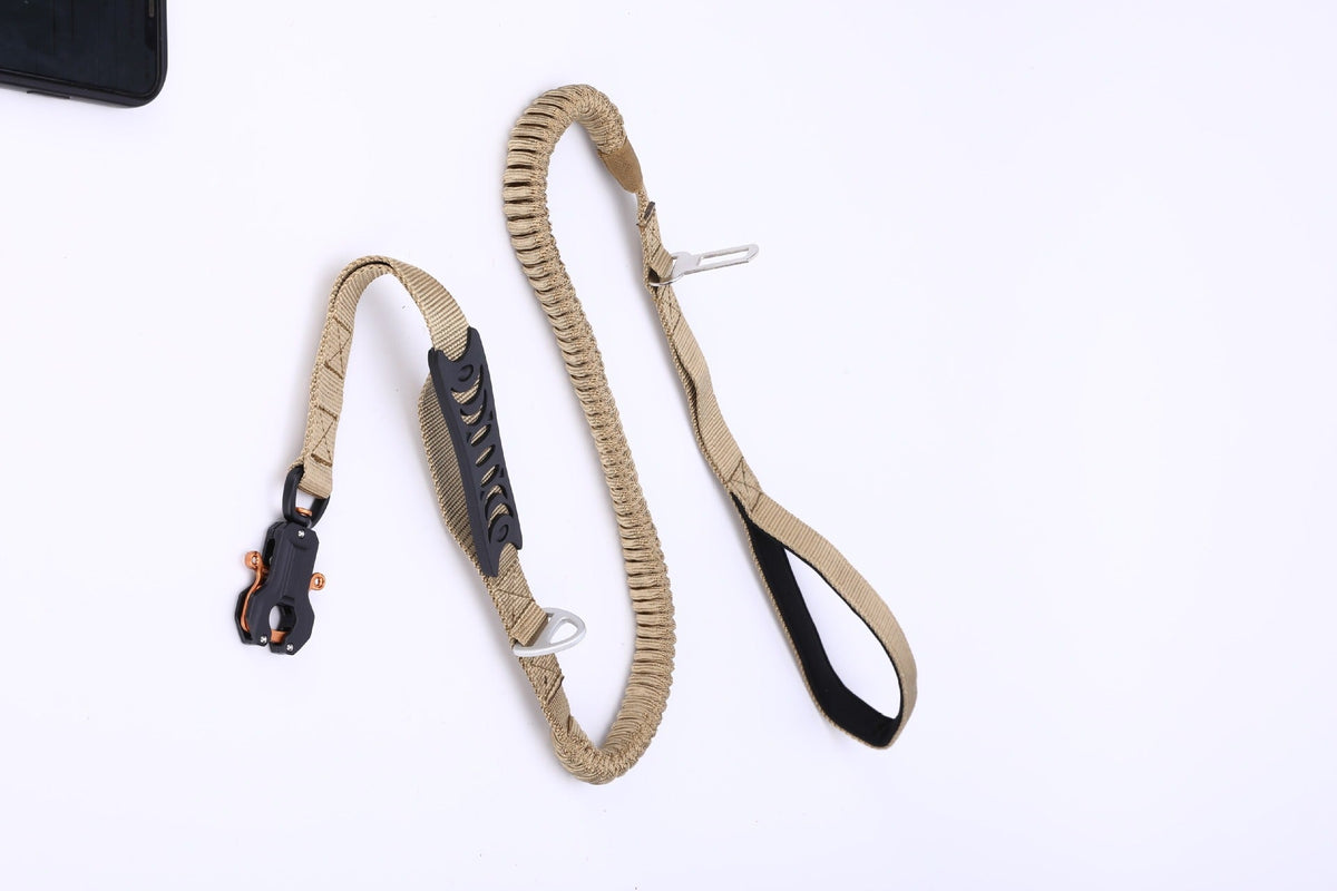 Dog Shock-Absorbing Leash for Smoother, Easier Walks