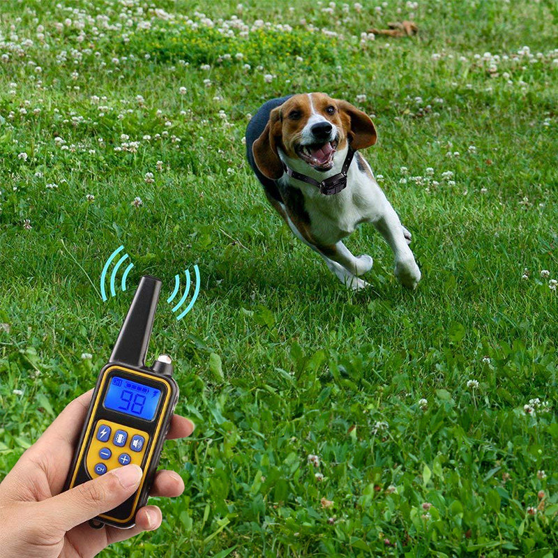 Dog Training Collar with 800m Remote for 3 Dogs