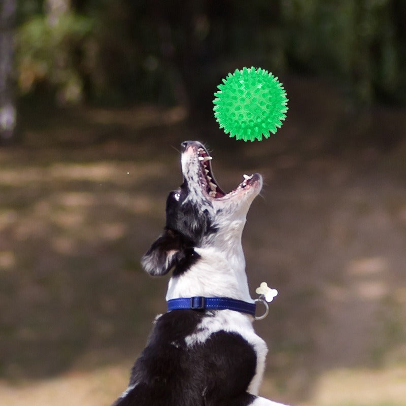 Spiky Dog Ball Toy for Interactive Chew and Fetch