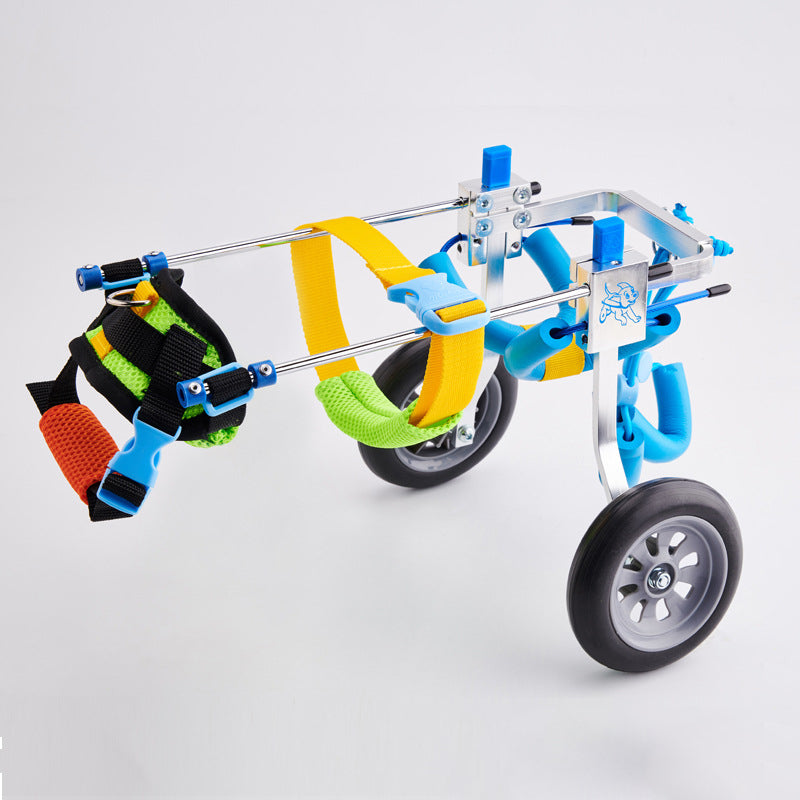 Dog Wheelchair for Disabled Dogs | Assisted Mobility