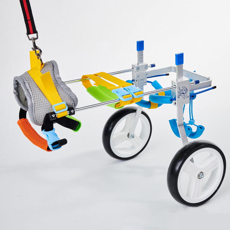Dog Wheelchair for Disabled Dogs | Assisted Mobility