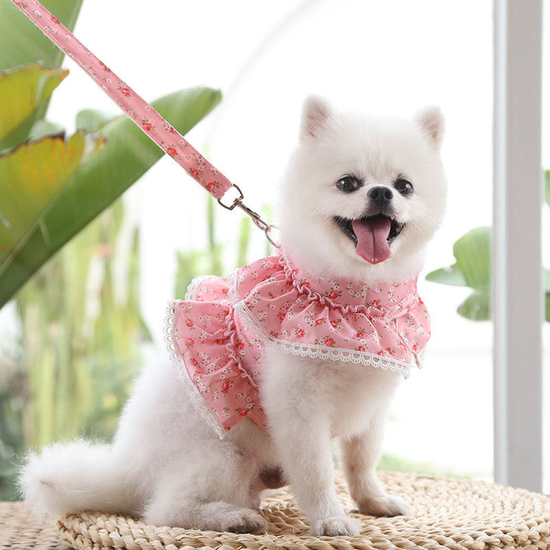 Floral Pet Harness Dress With Matching Leash Set for Walks