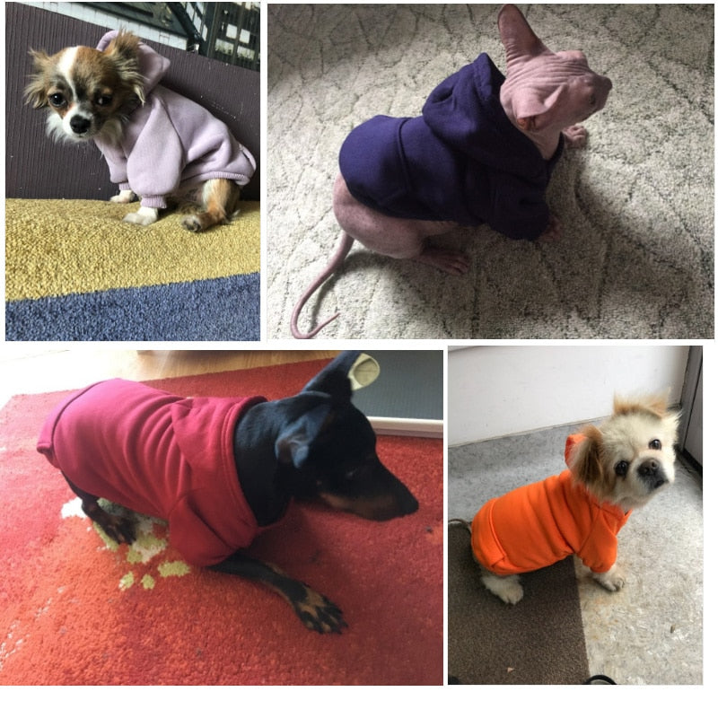 Dog Hoodies for Small Pets | Warm Winter Coverage