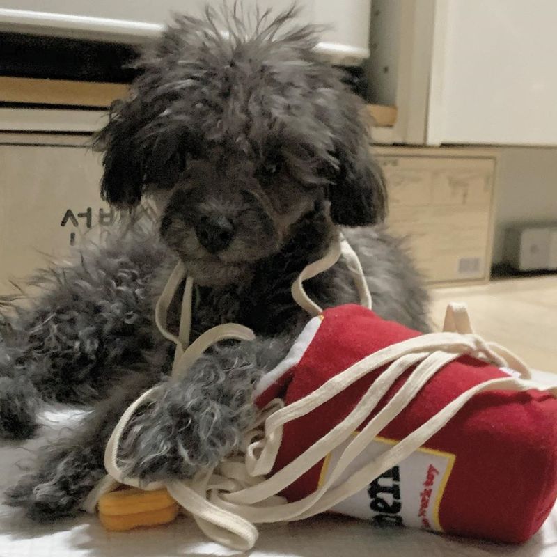 Snuffle Toy for Dogs: Indoor Nosework Enrichment Game