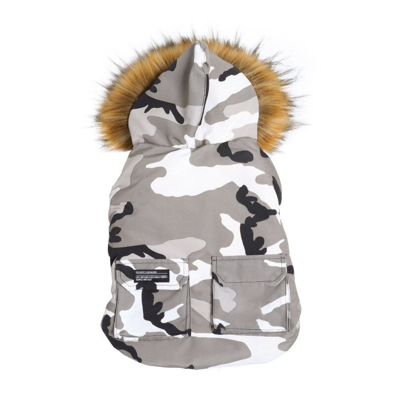 Small Dog Winter Jacket for Warm, Covered Outdoor Walks