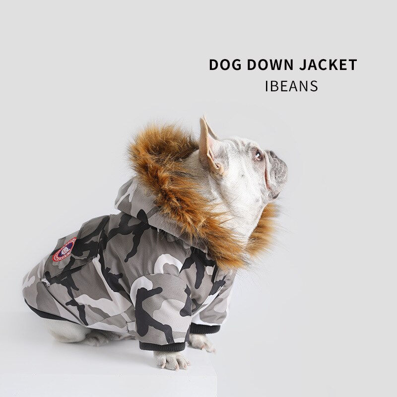 Small Dog Winter Jacket for Warm, Covered Outdoor Walks