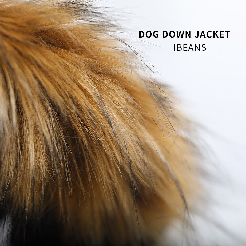 Small Dog Winter Jacket for Warm, Covered Outdoor Walks