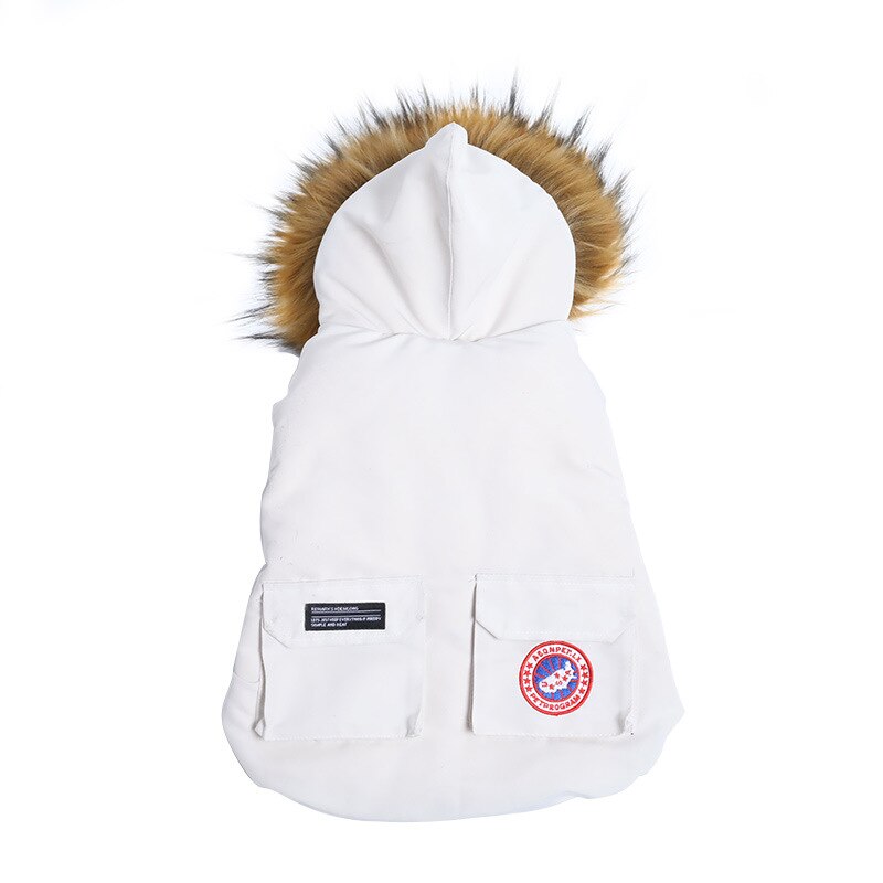 Small Dog Winter Jacket for Warm, Covered Outdoor Walks