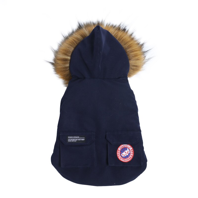 Small Dog Winter Jacket for Warm, Covered Outdoor Walks