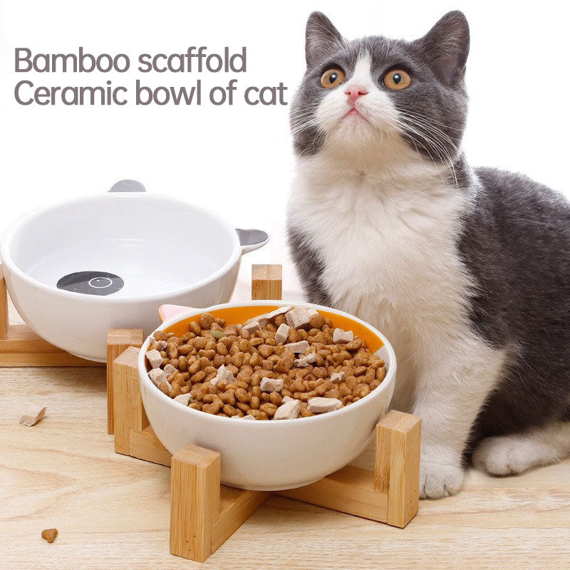 Elevated Ceramic Pet Bowl for Cleaner Daily Feeding