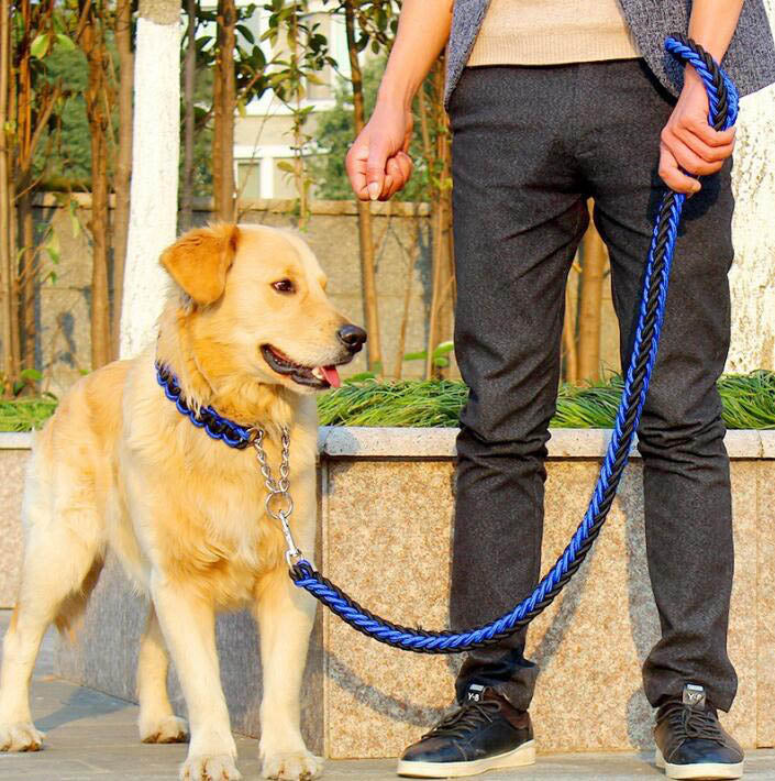 Large Dog Rope Leash & Chain Collar Set for Control