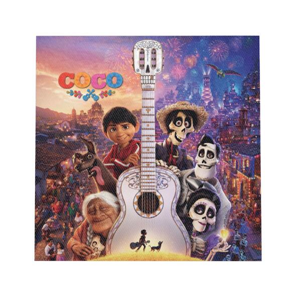Coco Party Decorations & Tableware Set for Birthdays