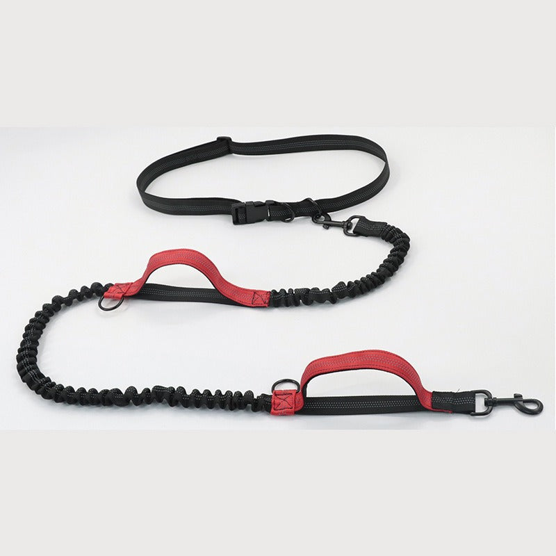 Dual Bungee Dog Leash for Comfortable Running Walks