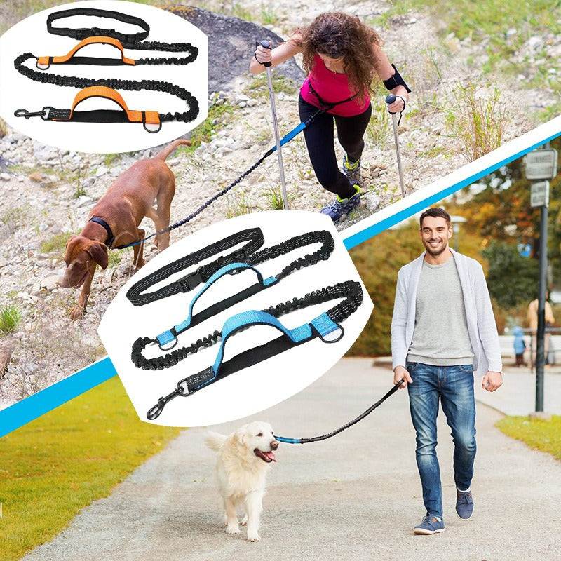 Dual Bungee Dog Leash for Comfortable Running Walks