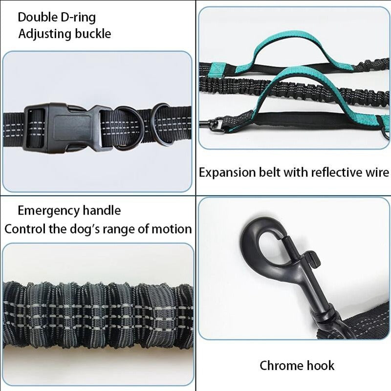 Dual Bungee Dog Leash for Comfortable Running Walks