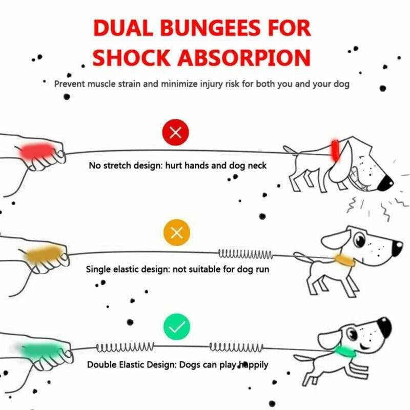 Dual Bungee Dog Leash for Comfortable Running Walks