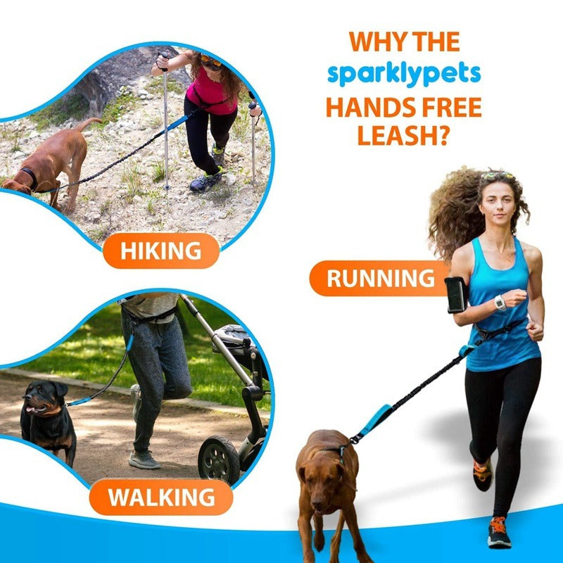 Dual Bungee Dog Leash for Comfortable Running Walks