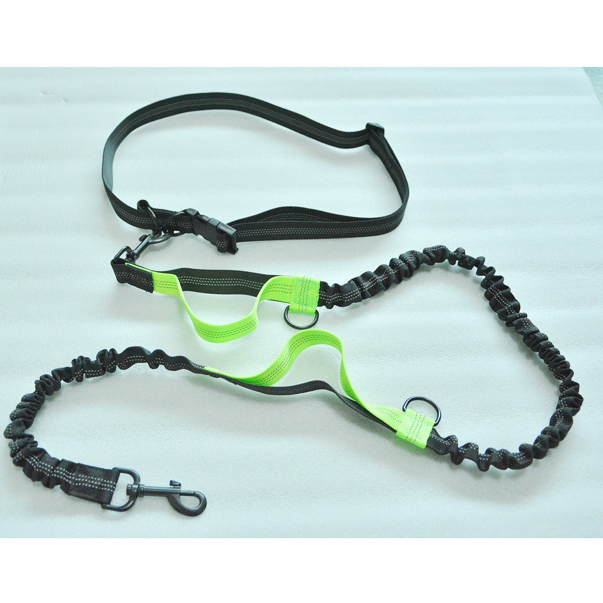 Dual Bungee Dog Leash for Comfortable Running Walks