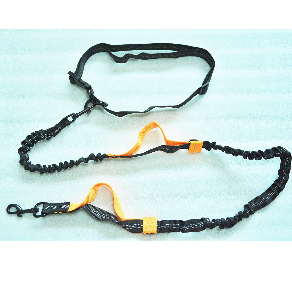 Dual Bungee Dog Leash for Comfortable Running Walks