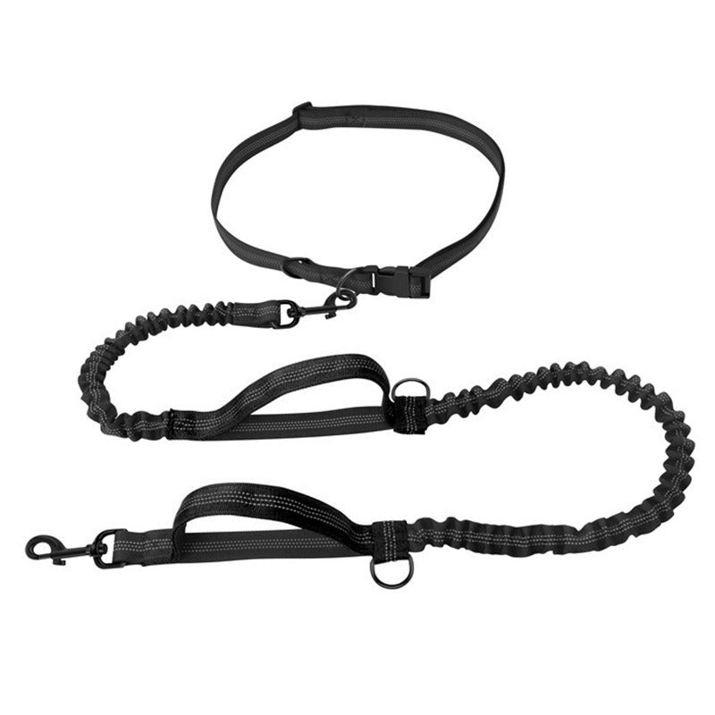 Dual Bungee Dog Leash for Comfortable Running Walks