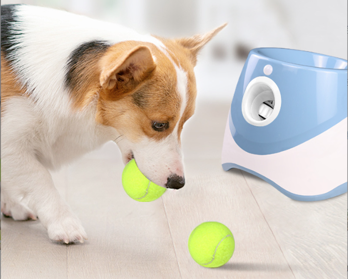 Automatic Dog Ball Launcher for Easy Hands-Free Fetch