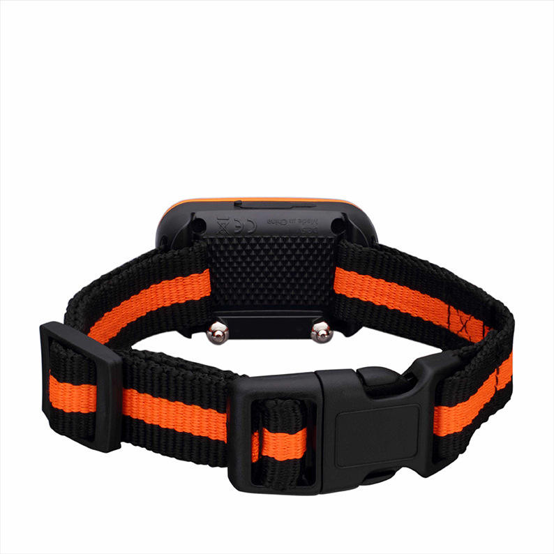 Remote Dog Training Collar for Consistent Outdoor Control