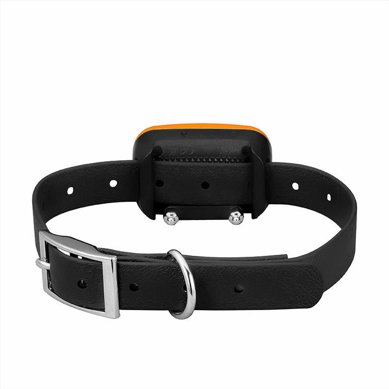 Remote Dog Training Collar for Consistent Outdoor Control
