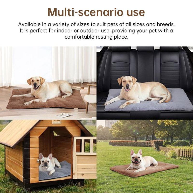 Self-Heating Pet Mat for Cozy, Cord-Free Winter Warmth
