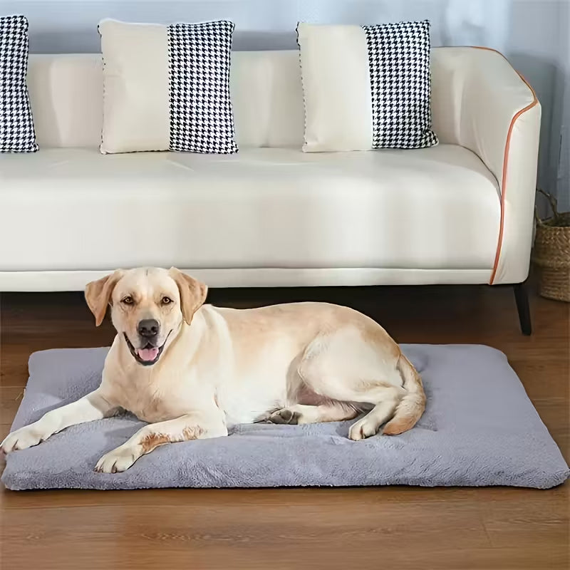 Self-Heating Pet Mat for Cozy, Cord-Free Winter Warmth