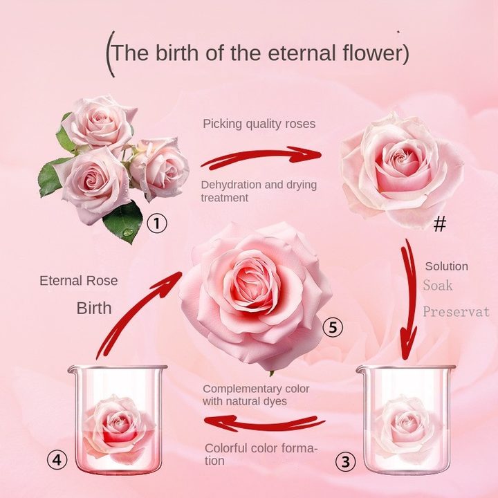 Eternal Rose Gift Box – Romantic Keepsake Gift Set
