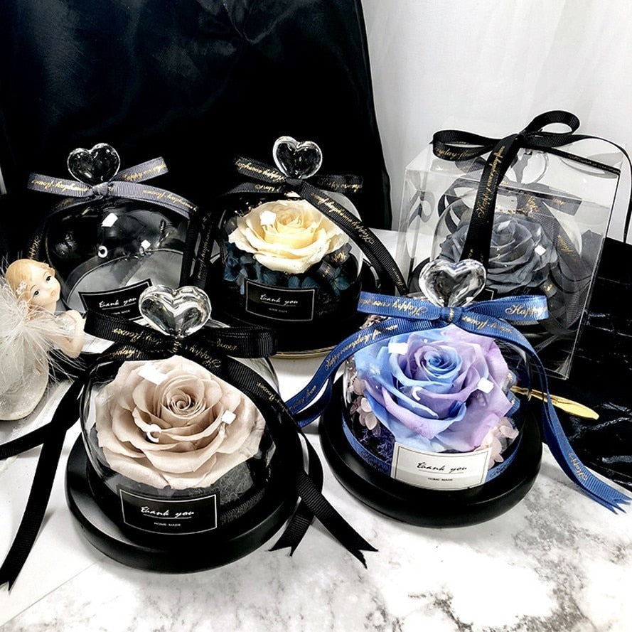 Preserved Rose Dome Gift With Warm Illuminated Lights