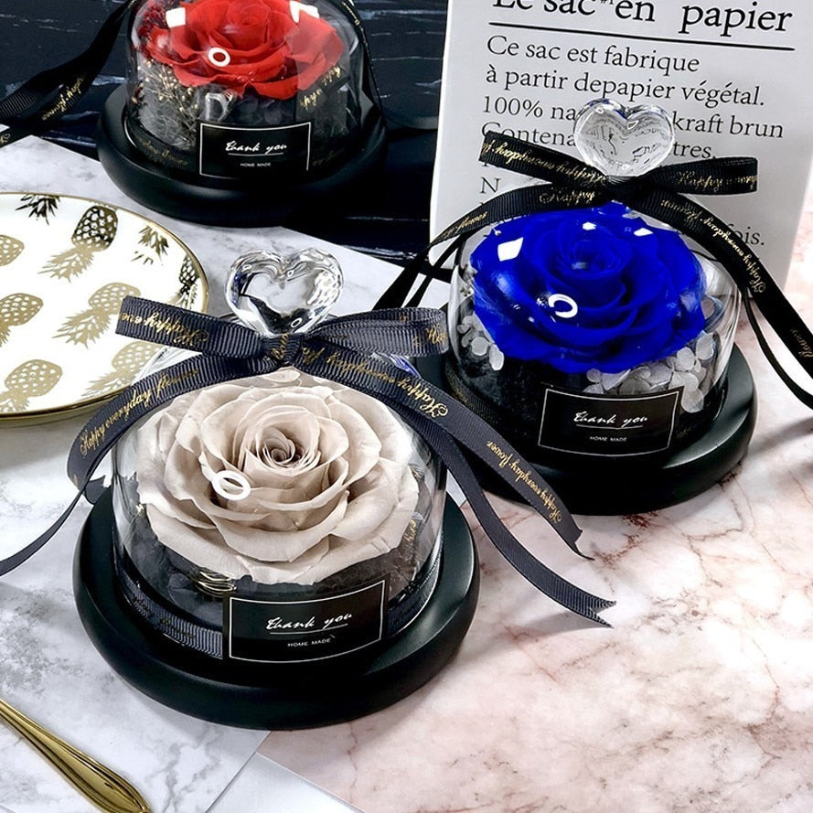Preserved Rose Dome Gift With Warm Illuminated Lights