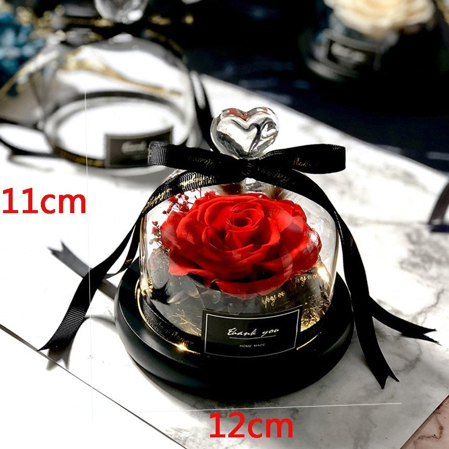 Preserved Rose Dome Gift With Warm Illuminated Lights