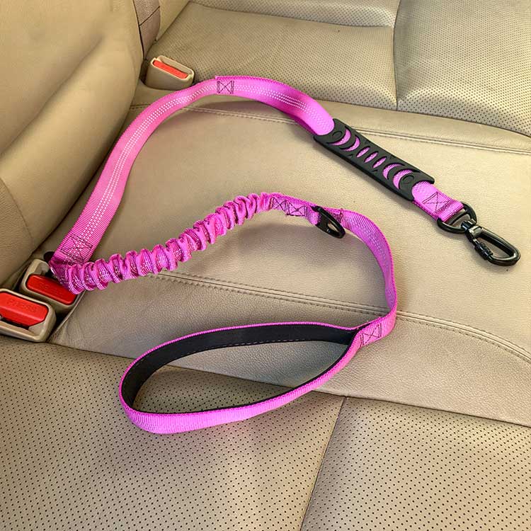 Reflective Shock-Absorbing Dog Leash for Car Travel