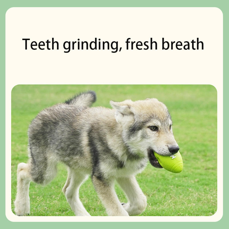 Squeaky Dog Chew Ball for Dental Play & Fresh Breath