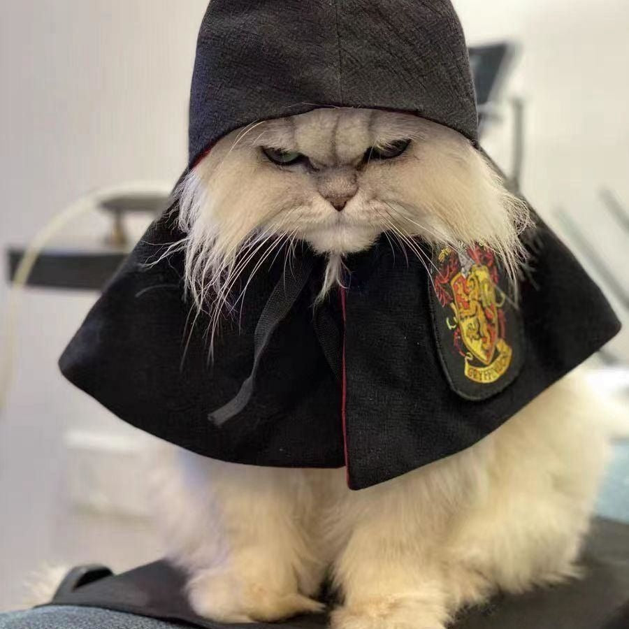 Pet Halloween Cloak Costume for Cats & Small Dogs, Fantasy