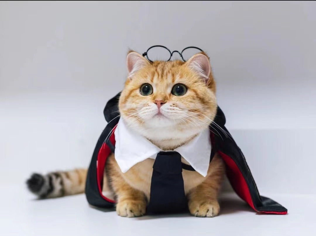 Pet Halloween Cloak Costume for Cats & Small Dogs, Fantasy