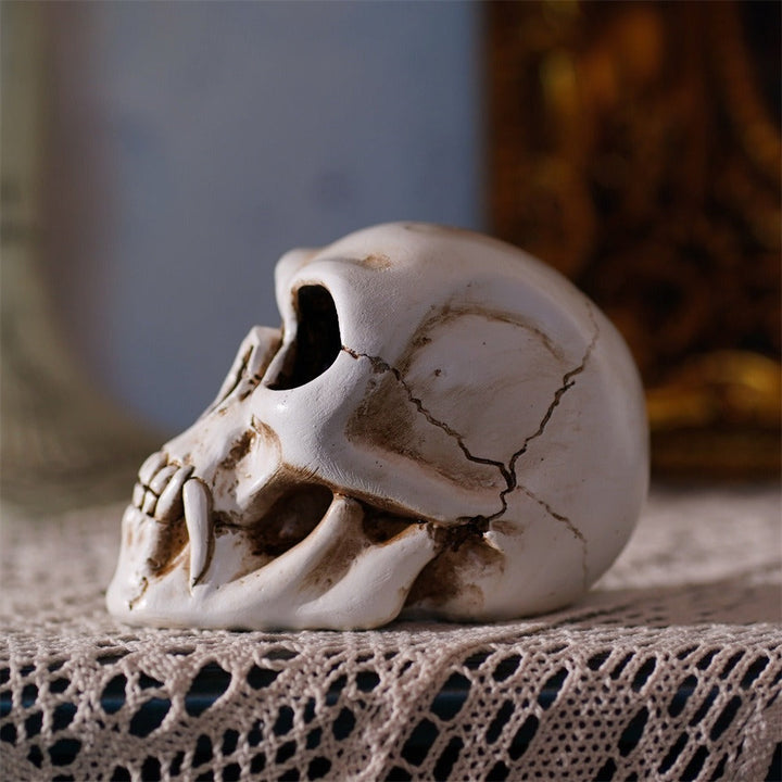 Fanged Skull Decor for Dramatic Gothic Home Interiors