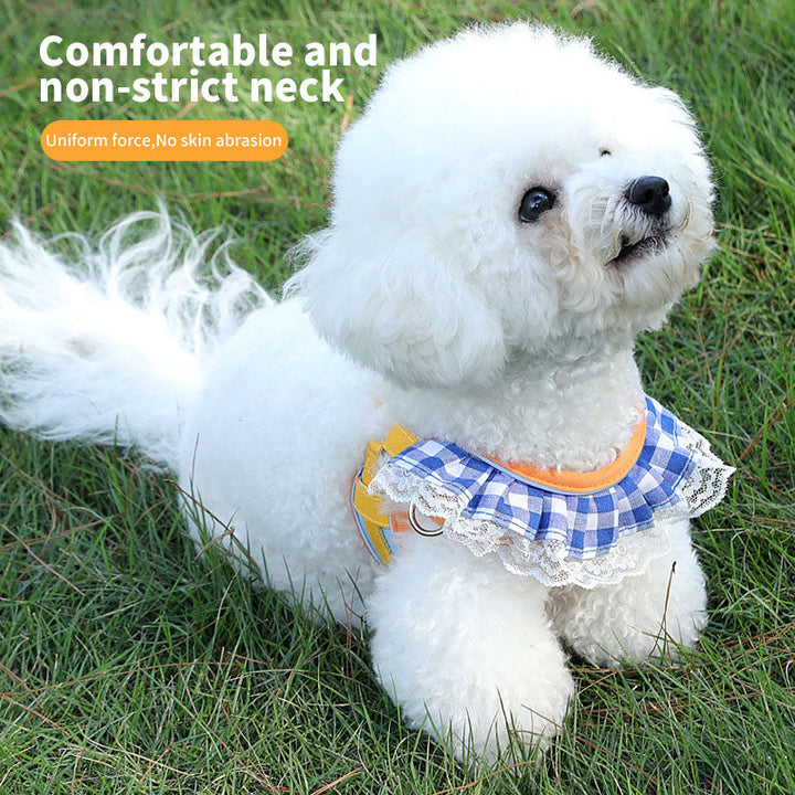 Small Pet Harness With Secure, No-Abrasion Walking