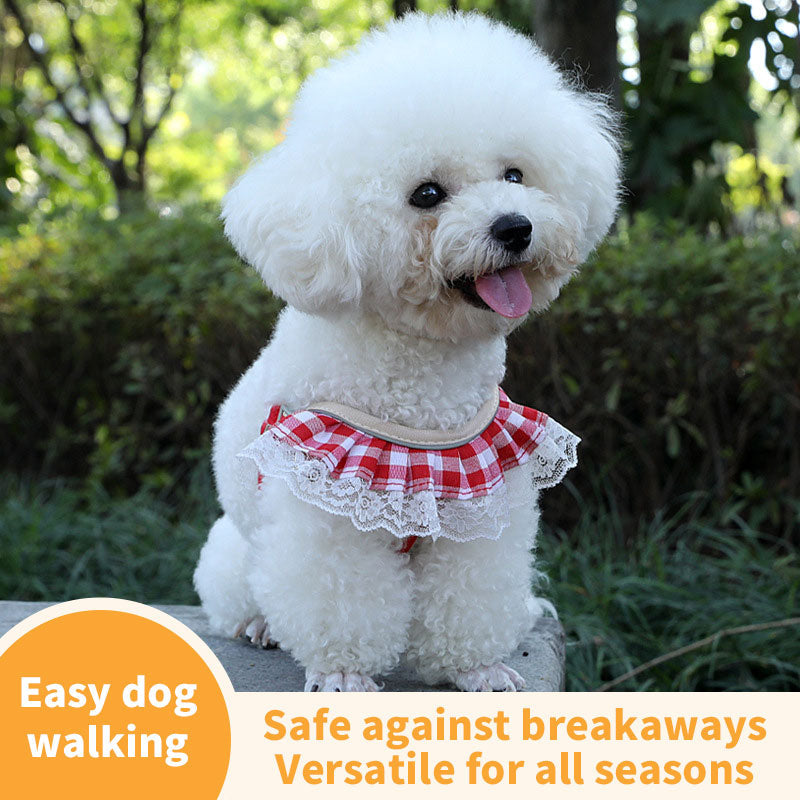 Small Pet Harness With Secure, No-Abrasion Walking
