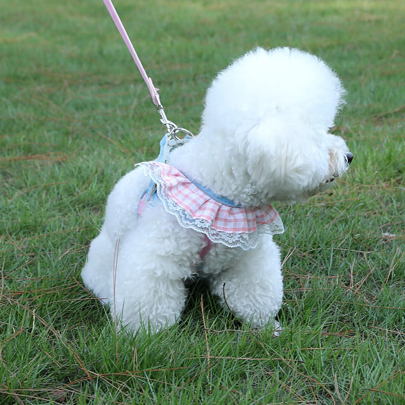Small Pet Harness With Secure, No-Abrasion Walking