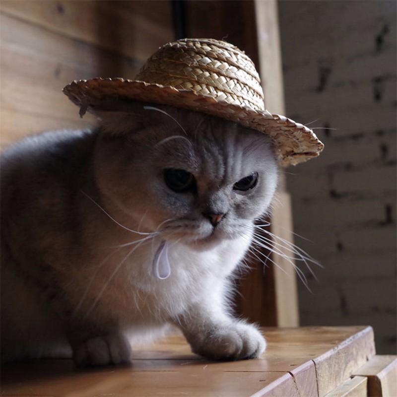 Handwoven Straw Pet Sun Hat, Adjustable Hawaii Style