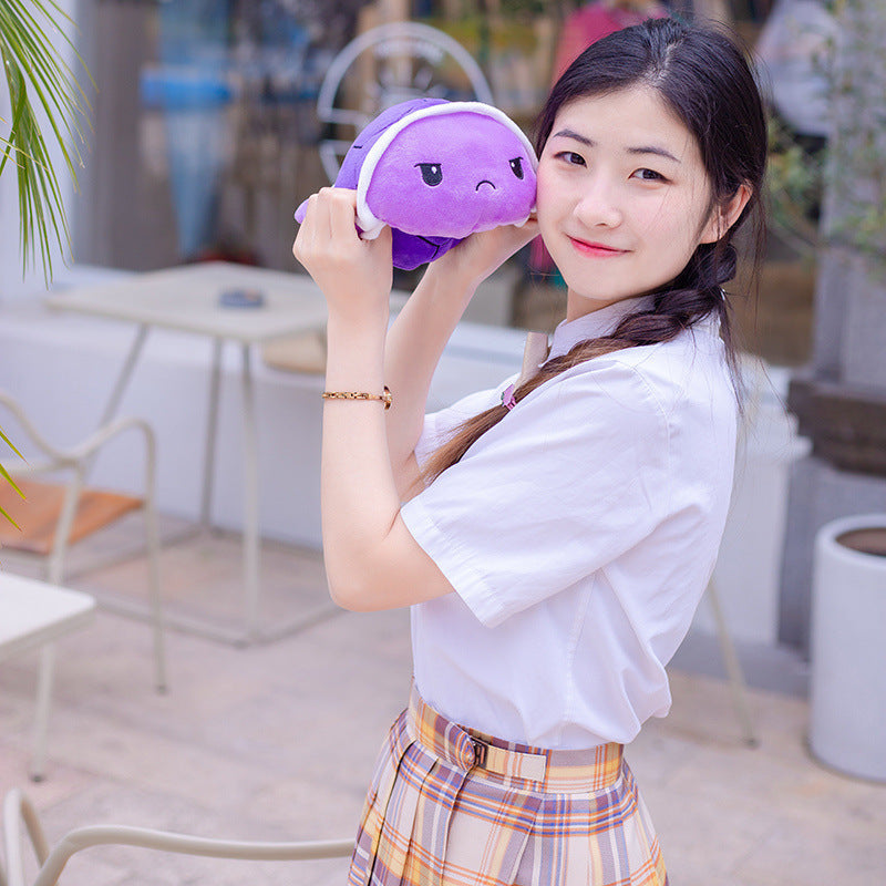 Reversible Turtle Plush Toy for Two Cute Mood Swings