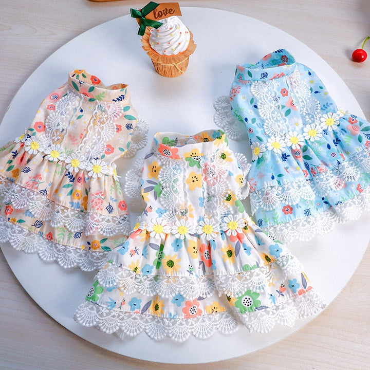Floral Dog Dress with Lace for Photo-Ready Moments