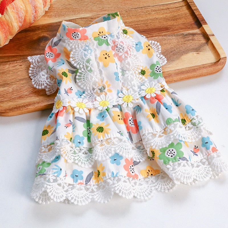 Floral Dog Dress with Lace for Photo-Ready Moments