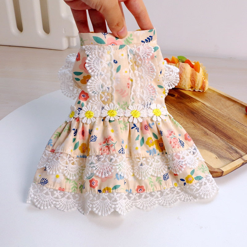 Floral Dog Dress with Lace for Photo-Ready Moments