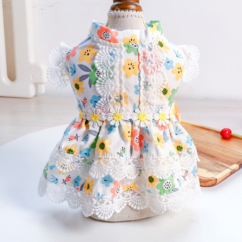 Floral Dog Dress with Lace for Photo-Ready Moments