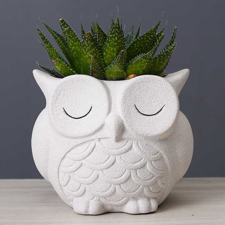 Ceramic Owl Planter for Small Indoor Plants & Succulents